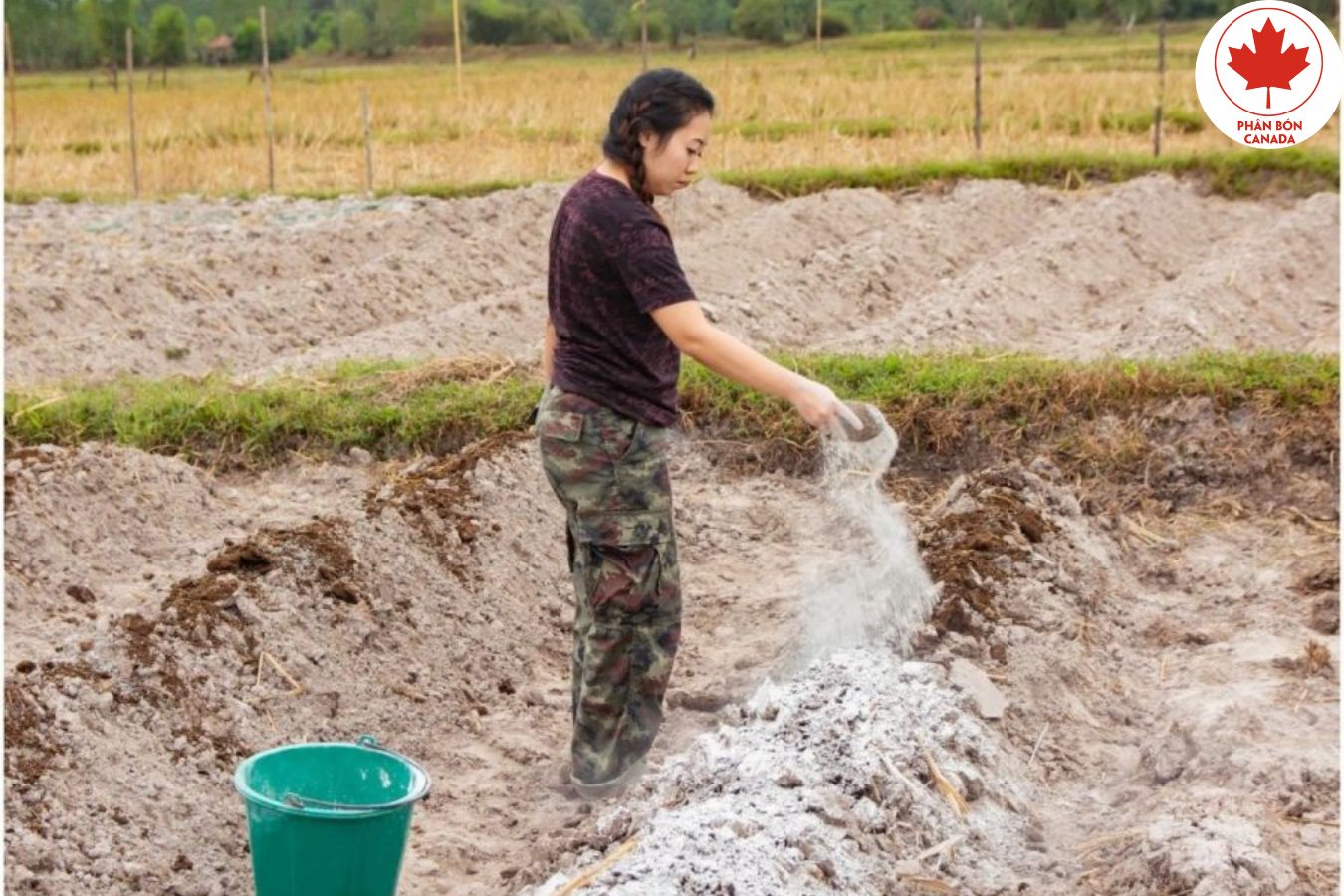 Biện pháp cải tạo đất hiệu quả nhất