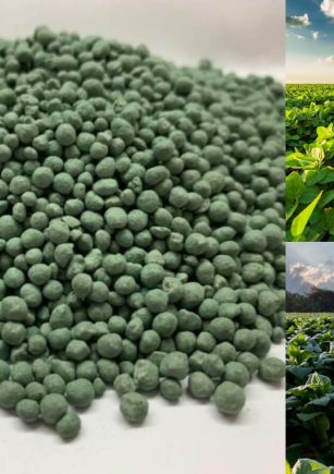 Phân xanh là gì